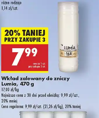 Biedronka Wkład zalewany do zniczy Lumia oferta