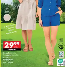 Biedronka Koszula damska lub szorty damskie oferta