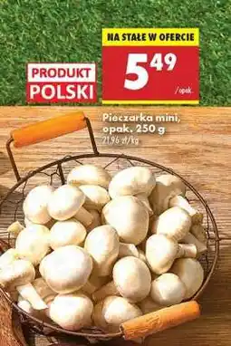 Biedronka Pieczarka mini opak . 250 g oferta