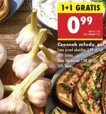 Biedronka Czosnek młody szt oferta