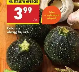 Biedronka Cukinia okrągła szt oferta