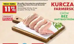 Biedronka Skrzydła z kurczaka bez antybiotyków Kraina Mięs Selec! Kurczak farmerski oferta