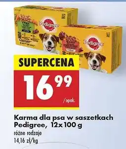 Biedronka Karma dla psa w saszetkach Pedigree , 12x100 g oferta
