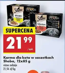 Biedronka Karma dla kota w saszetkach Sheba, 12x85 g oferta