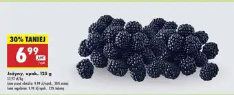 Biedronka Jeżyny Opak. 125 g oferta