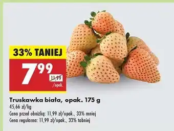 Biedronka Truskawka biała, opak. 175 g oferta