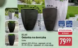 ALDI BELAVI Osłonka na doniczkę oferta