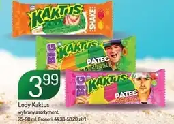 Avita Lody Kaktus oferta