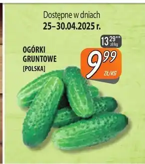 Społem Szczecin Ogórki oferta
