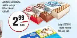 Sedal Lody Koral oferta