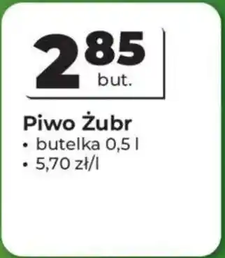 Odido Piwo Żubr oferta