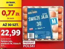 Lidl Jaja Złota nioska oferta