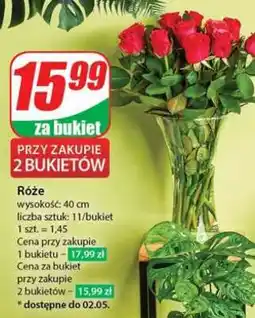 Dino Róże oferta