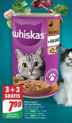 Dino Mokra karma dla kota Whiskas oferta