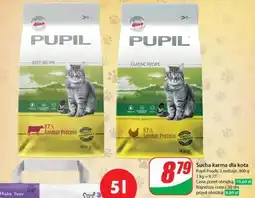 Dino Sucha karma dla kota oferta