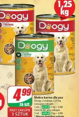 Dino Mokra karma dla psa oferta