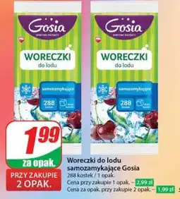 Dino Woreczki do lodu samozamykające Gosia oferta