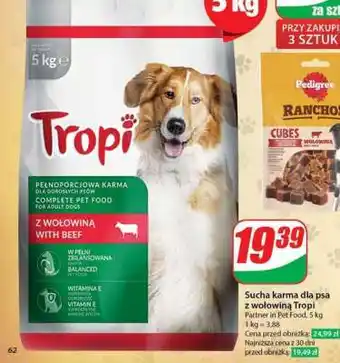 Dino Sucha karma dla psa z wołowiną Tropi oferta
