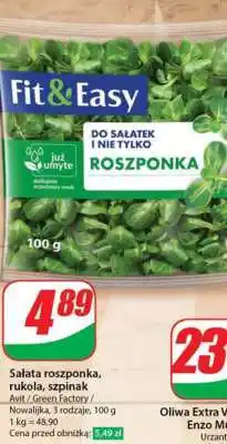 Dino Sałata roszponka, rukola, szpinak oferta