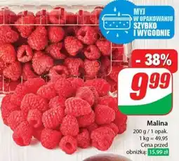 Dino Malina oferta