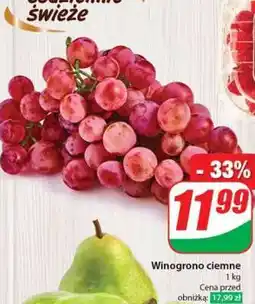 Dino Winogrono ciemne oferta