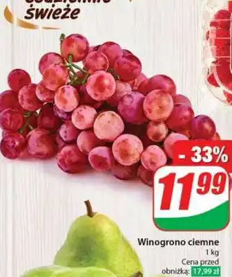 Dino Winogrono ciemne oferta