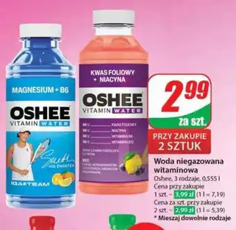 Dino OSHEE oferta