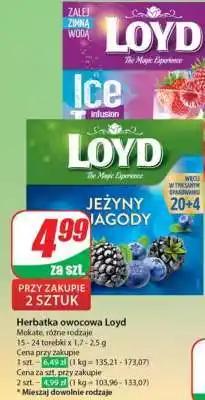 Dino Herbatka owocowa Loyd oferta
