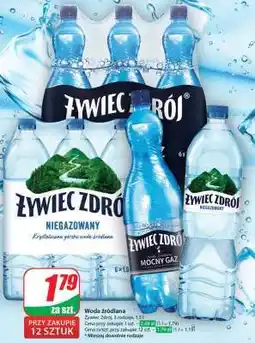 Dino ŻYWIEC ZDRÓJ oferta