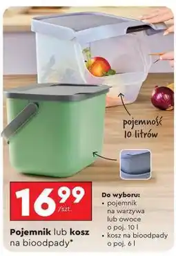 Biedronka Pojemnik lub kosz na bioodpady oferta