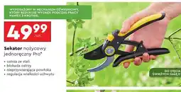 Biedronka Sekator nożycowy jednoręczny Pro oferta