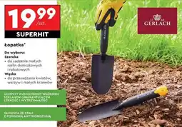 Biedronka ŁOPATKA oferta