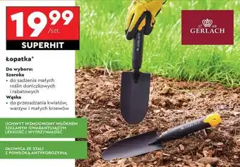 Biedronka ŁOPATKA oferta