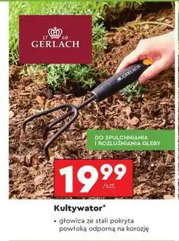 Biedronka Kultywator oferta