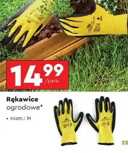 Biedronka Rękawice ogrodowe oferta