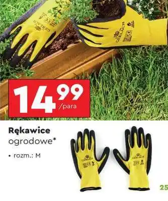 Biedronka Rękawice ogrodowe oferta