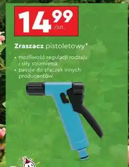 Biedronka Zraszacz pistoletowy oferta