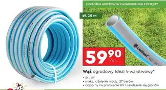 Biedronka Wąż ogrodowy Ideal 4-warstwowy oferta