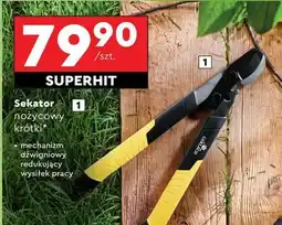 Biedronka Sekator nożycowy krótki oferta