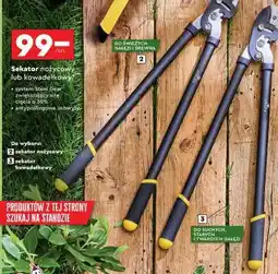 Biedronka Sekator nożycowy lub kowadełkowy oferta