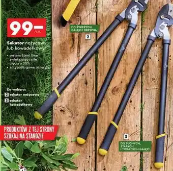 Biedronka Sekator nożycowy lub kowadełkowy oferta