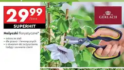 Biedronka Nożyczki florystyczne oferta