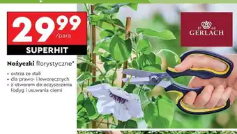 Biedronka Nożyczki florystyczne oferta