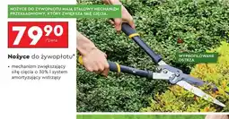 Biedronka Nożyce do żywopłotu oferta