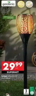 Biedronka Lampa solarna LED Pochodnia oferta