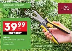 Biedronka Sekator oferta