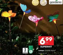 Biedronka Lampa solarna Motyl oferta