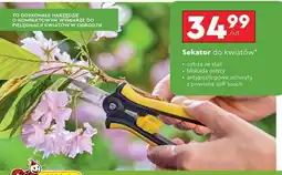 Biedronka Sekator do kwiatów oferta