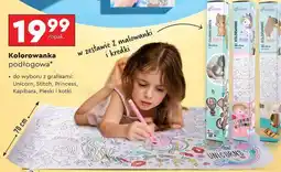 Biedronka Kolorowanka podłogowa oferta