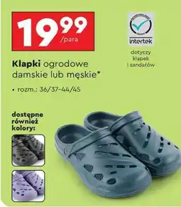 Biedronka Klapki ogrodowe damskie lub męskie oferta